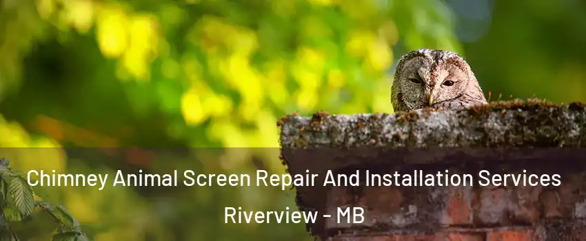  Chimney Animal Screen Repair And Installation Services Riverview - MB
