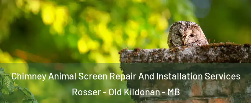  Chimney Animal Screen Repair And Installation Services Rosser - Old Kildonan - MB