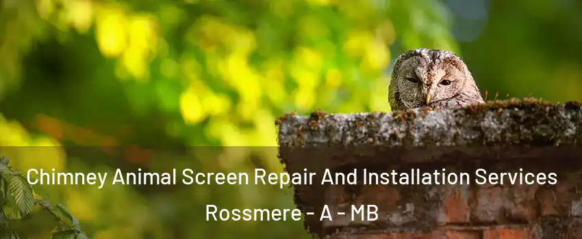  Chimney Animal Screen Repair And Installation Services Rossmere - A - MB