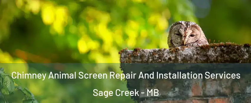  Chimney Animal Screen Repair And Installation Services Sage Creek - MB