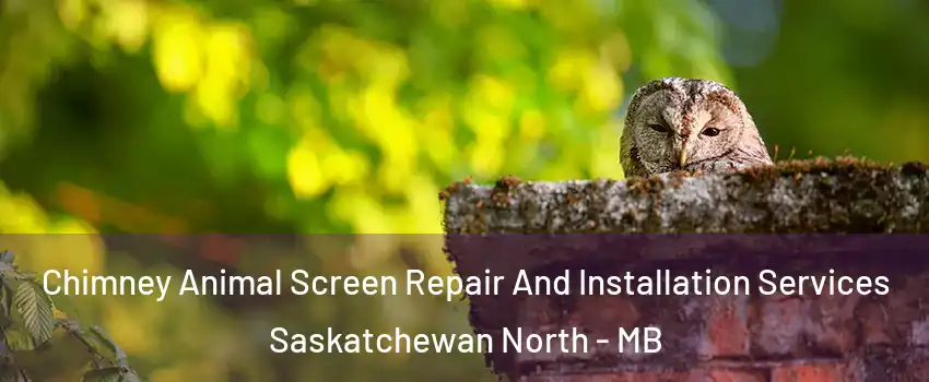  Chimney Animal Screen Repair And Installation Services Saskatchewan North - MB