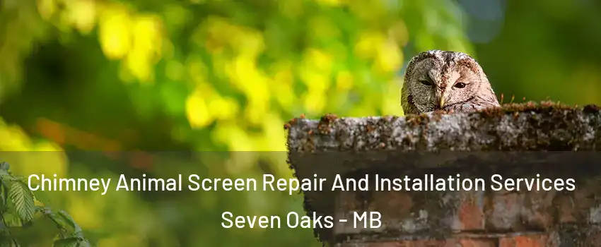  Chimney Animal Screen Repair And Installation Services Seven Oaks - MB
