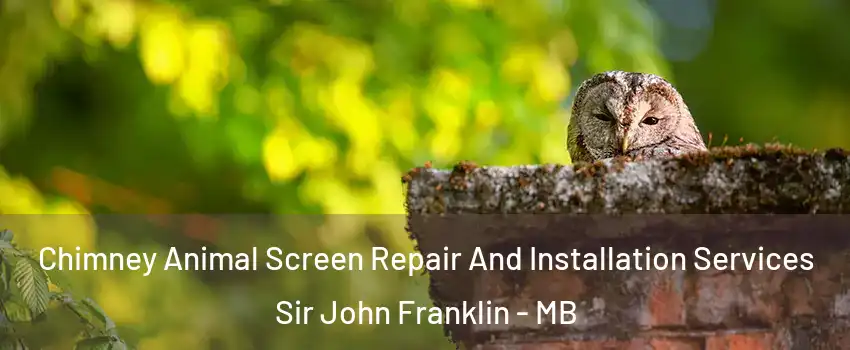  Chimney Animal Screen Repair And Installation Services Sir John Franklin - MB