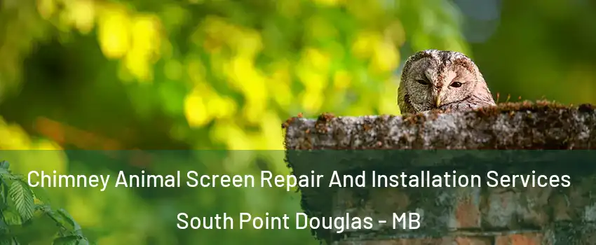  Chimney Animal Screen Repair And Installation Services South Point Douglas - MB