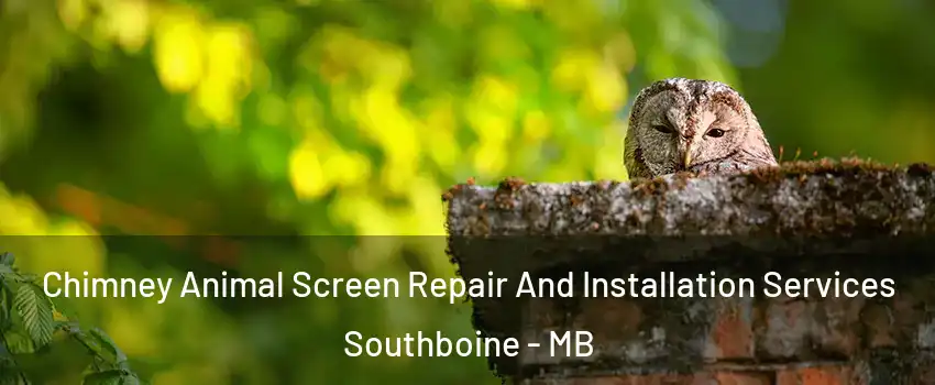  Chimney Animal Screen Repair And Installation Services Southboine - MB