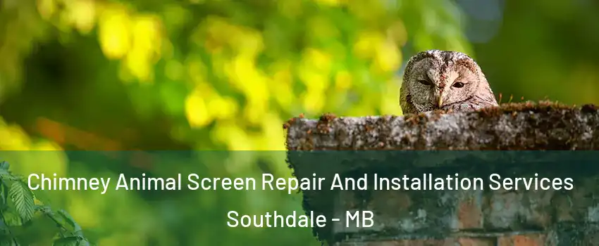  Chimney Animal Screen Repair And Installation Services Southdale - MB