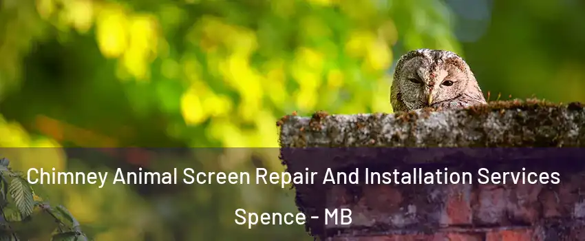  Chimney Animal Screen Repair And Installation Services Spence - MB