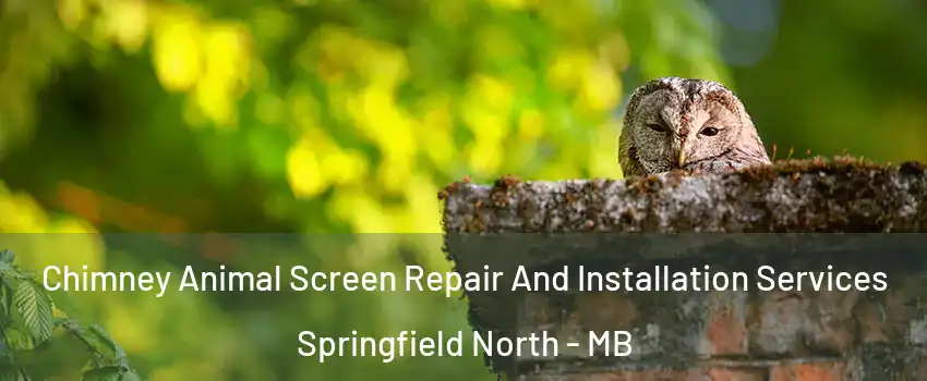  Chimney Animal Screen Repair And Installation Services Springfield North - MB