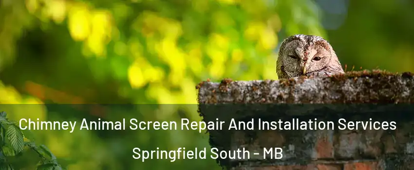  Chimney Animal Screen Repair And Installation Services Springfield South - MB