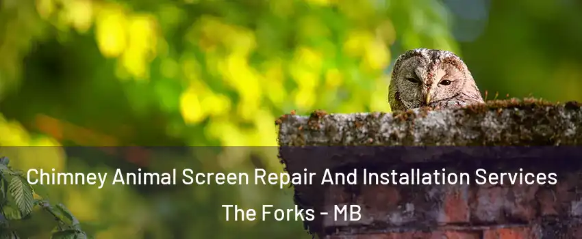  Chimney Animal Screen Repair And Installation Services The Forks - MB