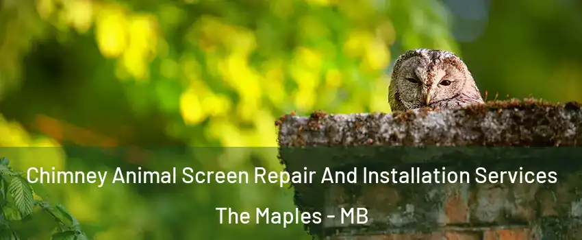  Chimney Animal Screen Repair And Installation Services The Maples - MB