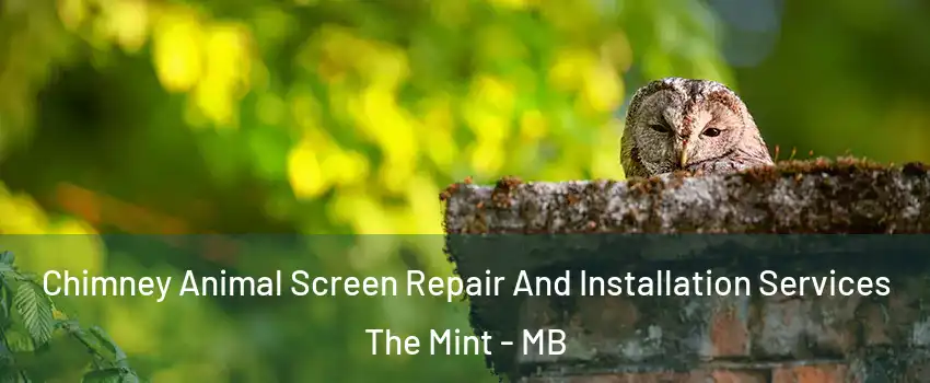  Chimney Animal Screen Repair And Installation Services The Mint - MB