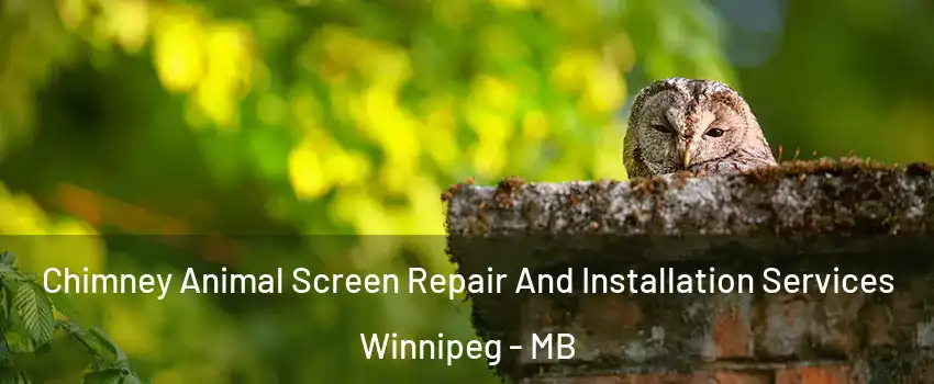  Chimney Animal Screen Repair And Installation Services Winnipeg - MB
