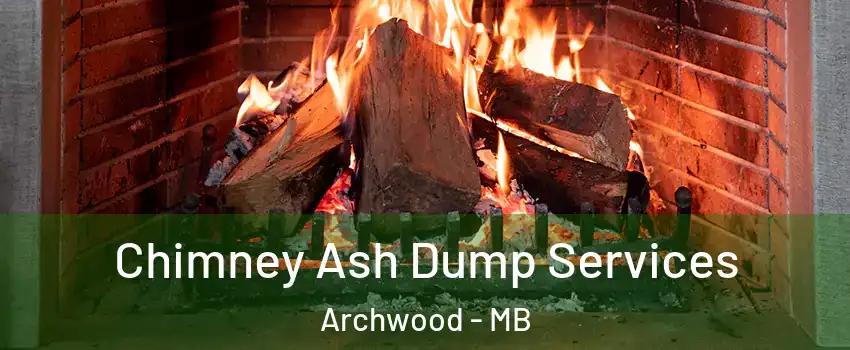  Chimney Ash Dump Services Archwood - MB