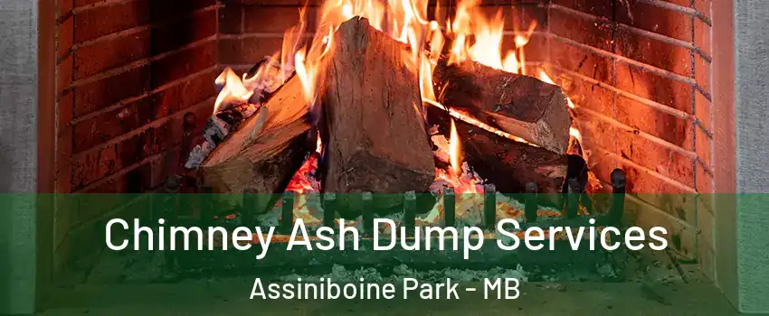 Chimney Ash Dump Services Assiniboine Park - MB