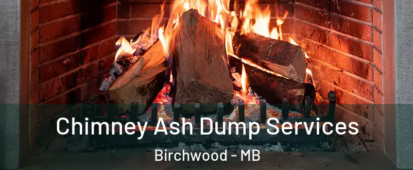 Chimney Ash Dump Services Birchwood - MB
