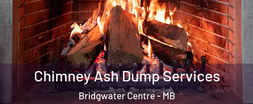  Chimney Ash Dump Services Bridgwater Centre - MB