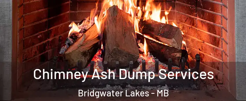  Chimney Ash Dump Services Bridgwater Lakes - MB
