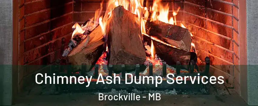  Chimney Ash Dump Services Brockville - MB