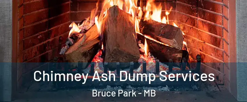  Chimney Ash Dump Services Bruce Park - MB