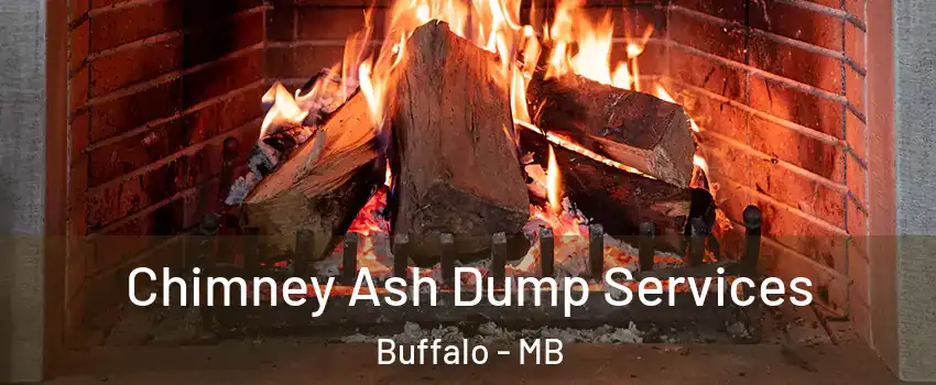  Chimney Ash Dump Services Buffalo - MB