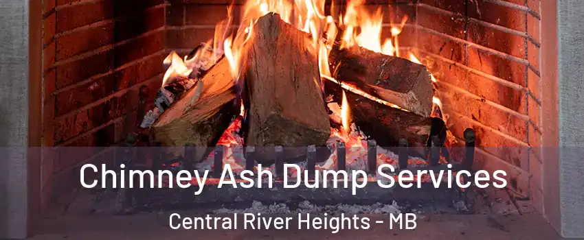  Chimney Ash Dump Services Central River Heights - MB