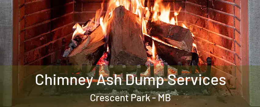  Chimney Ash Dump Services Crescent Park - MB