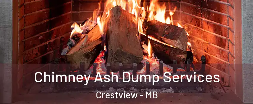  Chimney Ash Dump Services Crestview - MB