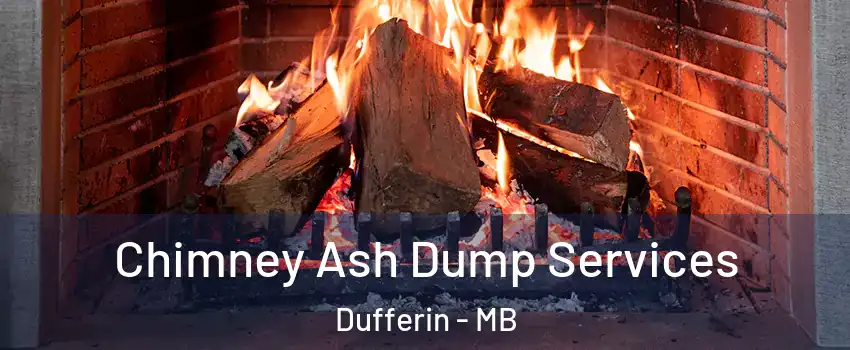  Chimney Ash Dump Services Dufferin - MB