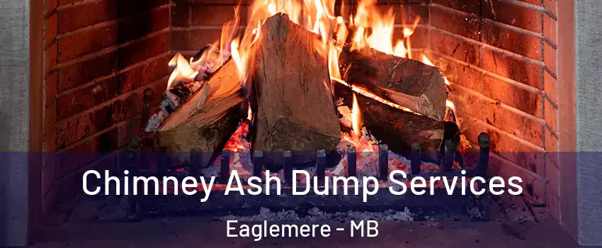  Chimney Ash Dump Services Eaglemere - MB