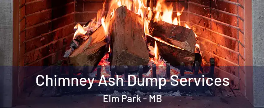  Chimney Ash Dump Services Elm Park - MB