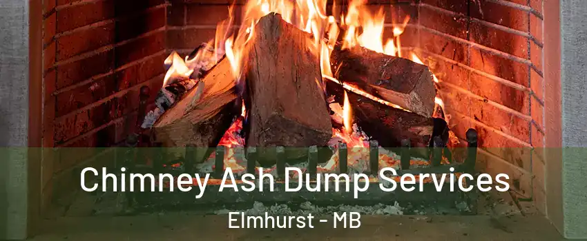  Chimney Ash Dump Services Elmhurst - MB