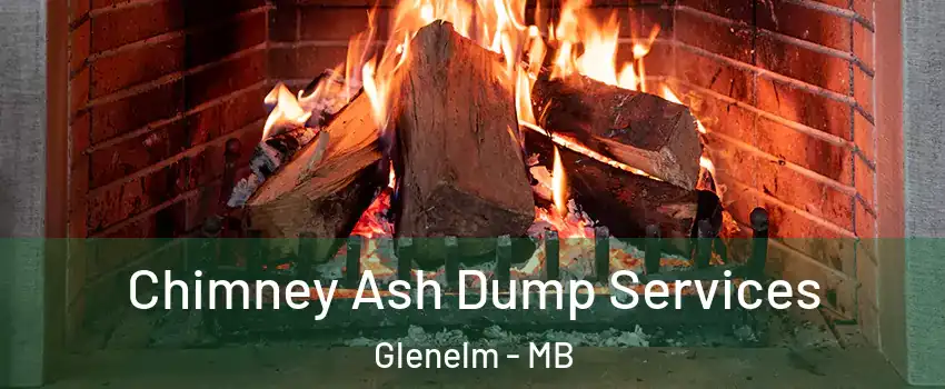  Chimney Ash Dump Services Glenelm - MB