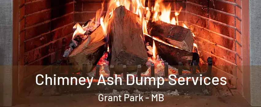  Chimney Ash Dump Services Grant Park - MB