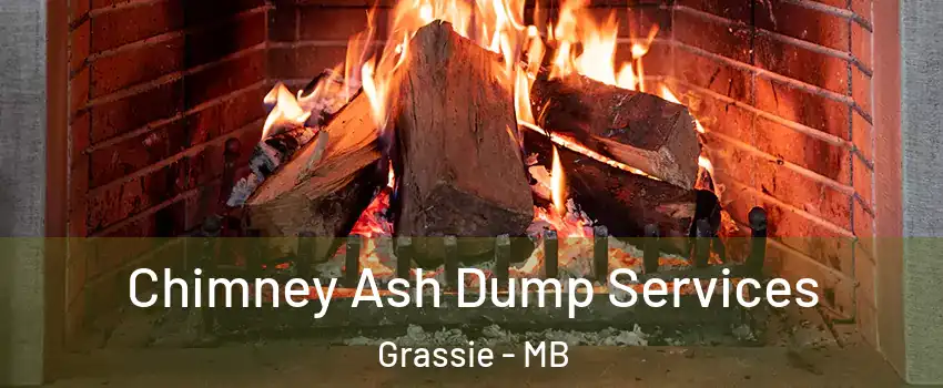  Chimney Ash Dump Services Grassie - MB