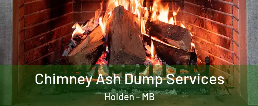  Chimney Ash Dump Services Holden - MB
