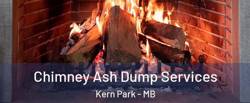  Chimney Ash Dump Services Kern Park - MB