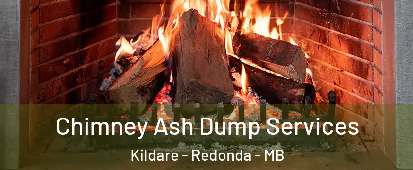  Chimney Ash Dump Services Kildare - Redonda - MB