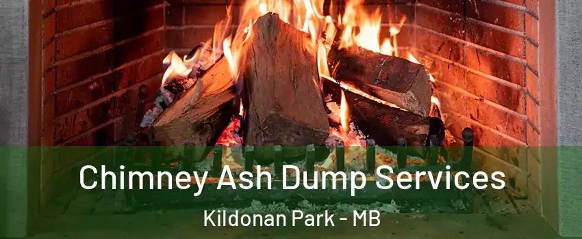  Chimney Ash Dump Services Kildonan Park - MB