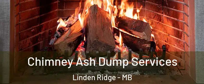  Chimney Ash Dump Services Linden Ridge - MB