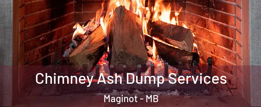 Chimney Ash Dump Services Maginot - MB