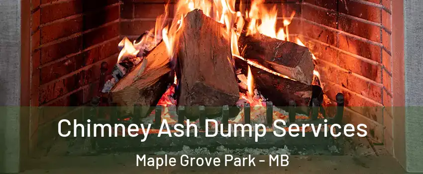  Chimney Ash Dump Services Maple Grove Park - MB