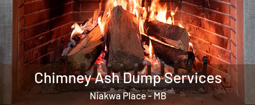  Chimney Ash Dump Services Niakwa Place - MB