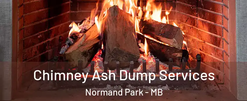  Chimney Ash Dump Services Normand Park - MB