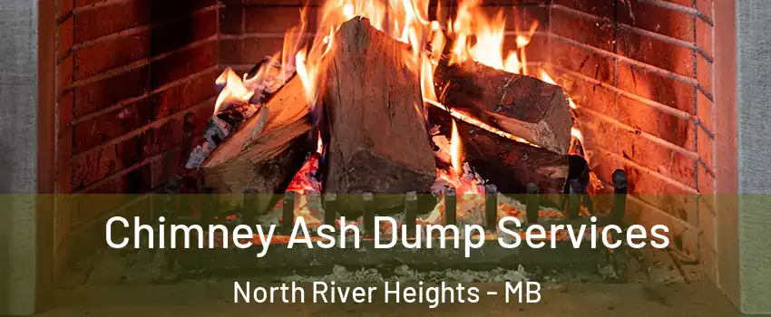  Chimney Ash Dump Services North River Heights - MB