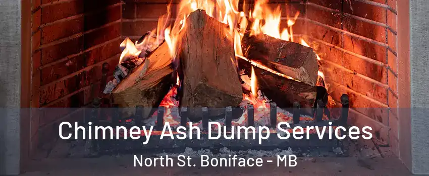  Chimney Ash Dump Services North St. Boniface - MB