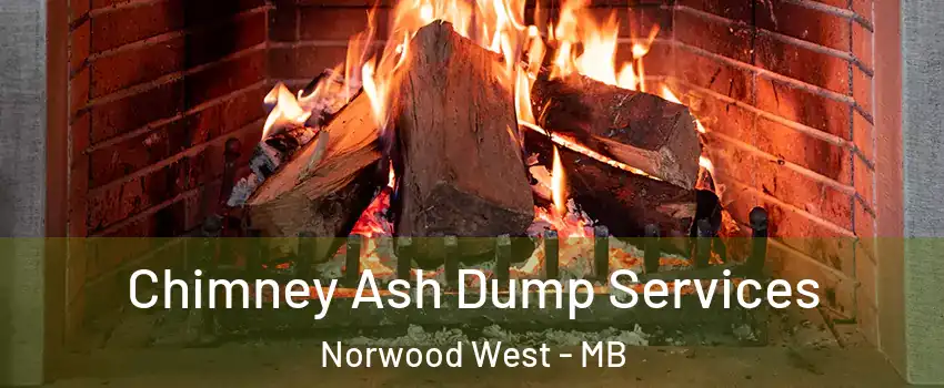  Chimney Ash Dump Services Norwood West - MB
