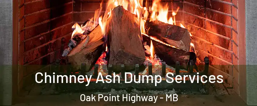  Chimney Ash Dump Services Oak Point Highway - MB