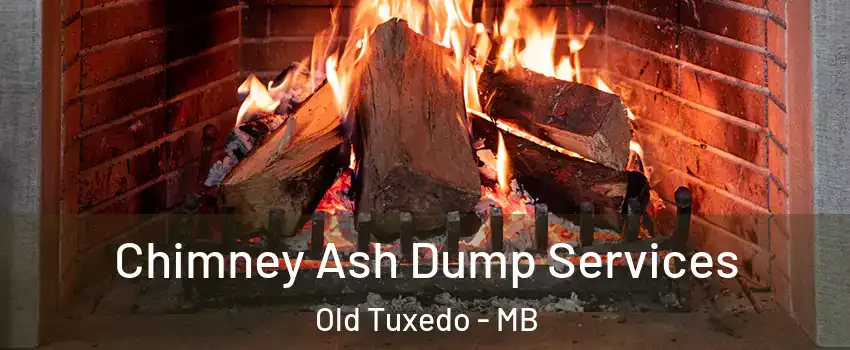  Chimney Ash Dump Services Old Tuxedo - MB