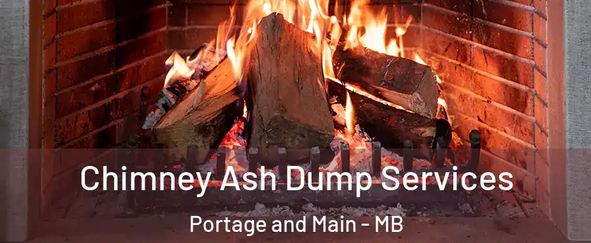  Chimney Ash Dump Services Portage and Main - MB